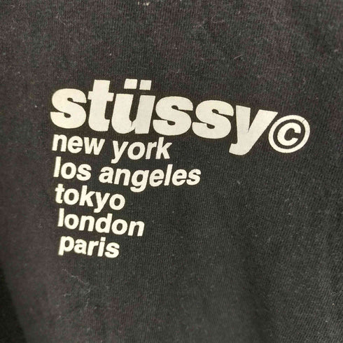 ステューシー Stussy STRAWBERRY TEE メンズ import:L