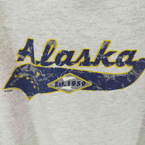 オールスポーツ ALL sport 00S 霜降りグレー Tシャツ メンズ JPN:L