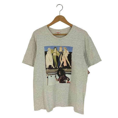 シュプリーム Supreme American Picture Tee アメリカンピクチャーTシャツ メンズ import:M