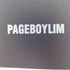 ページボーイ PAGEBOY ワークスノーパンツ レディース JPN:L