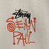 ステューシー Stussy プリントTシャツ メンズ import:L