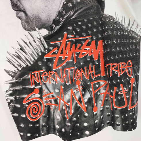 ステューシー Stussy プリントTシャツ メンズ import:L