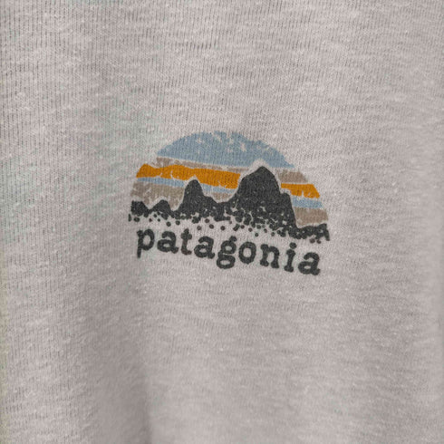 パタゴニア patagonia responsibili-tee 両面プリントTシャツ レディース import:S