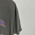 チームアパレル NFL TEAM APPAREL カレッジロゴ 三段プリント Tシャツ メンズ