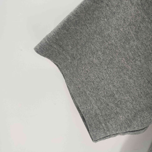 ザノースフェイス THE NORTH FACE S/S NUPTSE CTN T ショートスリーブヌプシコットンティー メンズ JPN:XL