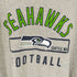 エヌエフエル NFL チームロゴTシャツ アメフト メンズ JPN:XL