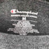 チャンピオン Champion チームロゴTシャツ メンズ JPN:M