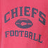 エヌエフエル NFL チームロゴ Tシャツ アメフト メンズ