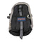 ジャンスポーツ JanSport リップストップ バックパック メンズ