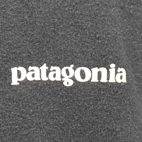 パタゴニア patagonia S/S ロゴバックプリントTシャツ メンズ JPN:S