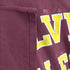 チャンピオン Champion CALVIN COLLEGE メンズ JPN:XL