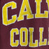チャンピオン Champion CALVIN COLLEGE メンズ JPN:XL