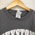 ギルダン GILDAN KEYSTONE STATE GAMES メンズ JPN:XL