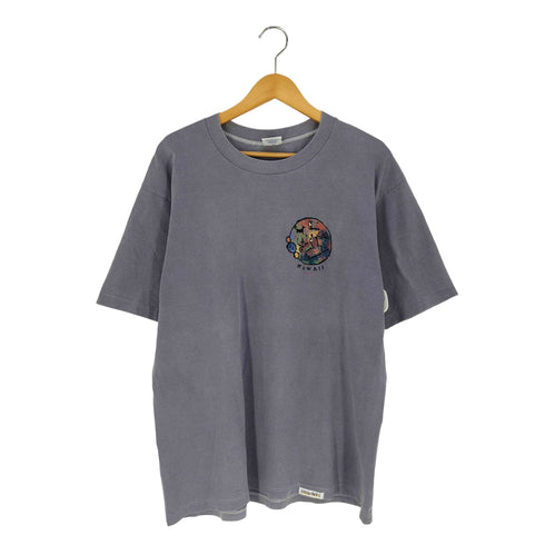 クレイジーシャツ CRAZY SHIRTS 80-90s USA製 KI'I POHAKU ANCIENT STONE ART HAWAII PETROGLYPH プリント クルーネックTシャツ メンズ import:L