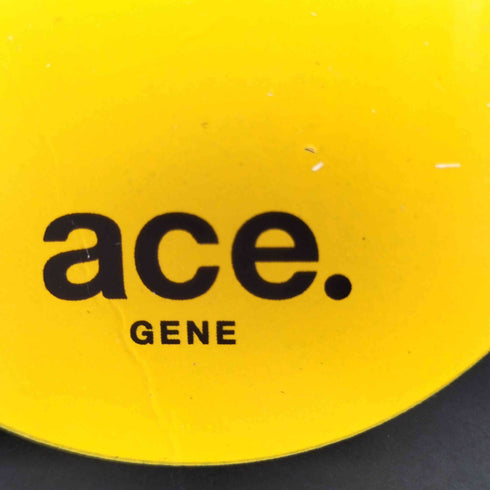 エース ace. ガジェダブル CB 3WAY レディース