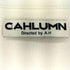 CAHLUMN ボーダースウェット メンズ JPN:M