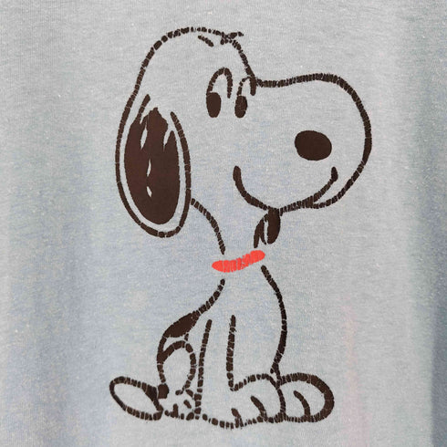 ベルトン BELTON 70s USA製 シングルステッチ フロントキャラクタープリント クルーネックTシャツ メンズ import:L