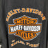 ハーレーダビッドソン HARLEY-DAVIDSON 90s アニマルプリント クルーネックTシャツ メンズ JPN:L