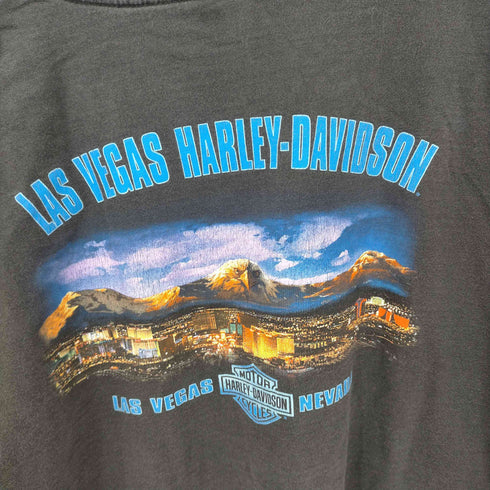 ハーレーダビッドソン HARLEY-DAVIDSON 90S~00S 両面プリント S/S Tシャツ メンズ JPN:XL