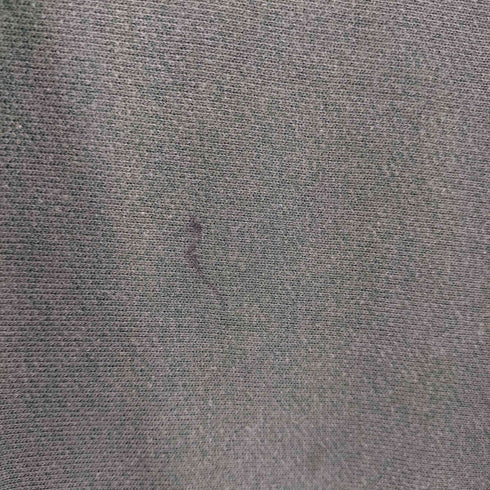 チャンピオン Champion 00S カレッジラバープリント REVERSE WEAVE メンズ JPN:M