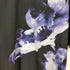 ハレ HARE アートフラワーTシャツ レディース FREE