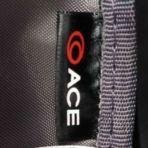 エースジーン ACEGENE ビッグバックパック メンズ