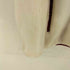 CLOTAPPAREL CLOTTEE BY CLOT FLEECE JACKET メンズ JPN:L