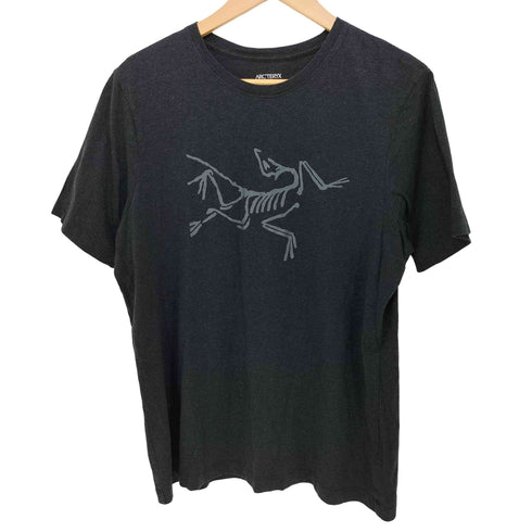アークテリクス ARCTERYX Archaeopteryx SS T-Shirt アーキオプテリクス Tシャツ メンズ M/M