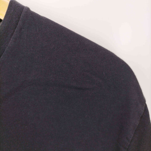 パタゴニア patagonia REGULAR FIT フィッツロイベア FITZ ROY BEAR プリント Tシャツ メンズ JPN:M