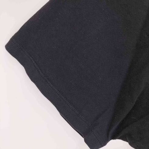 パタゴニア patagonia REGULAR FIT フィッツロイベア FITZ ROY BEAR プリント Tシャツ メンズ JPN:M