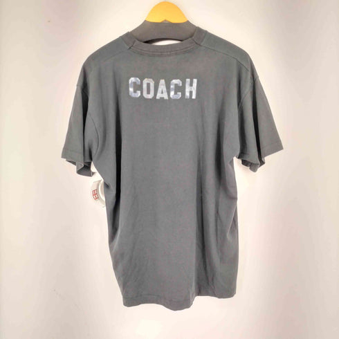 フルーツオブザルーム FRUIT OF THE LOOM 90s USA製 PAINT VALLEY プリントクルーネックTシャツ メンズ JPN:XL