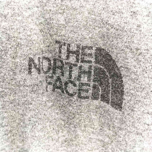 ザノースフェイス THE NORTH FACE クルーネックTシャツ メンズ JPN:L