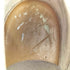 クラークス Clarks 英国製 チャッカブーツ メンズ
