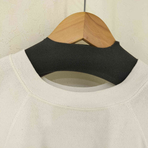 タルテックス TULTEX USA製 ドッグプリント ラグランスウェット メンズ import:L