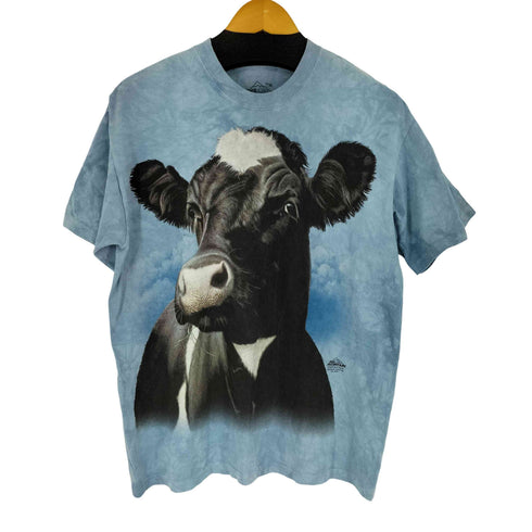 ザマウンテン the mountain MADE IN USA タイダイ染め フロントプリント S/S Tシャツ メンズ import:M