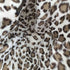 カシラ CA4LA ANIMAL COLL バケットハット レディース