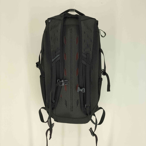 グレゴリー GREGORY NANO 20 ナノ バッグパック メンズ 20L