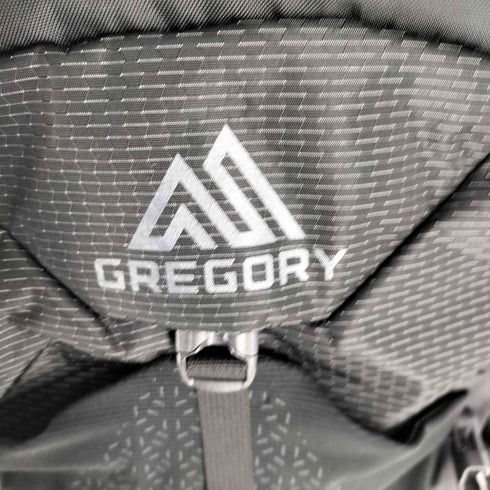 グレゴリー GREGORY NANO 20 ナノ バッグパック メンズ 20L
