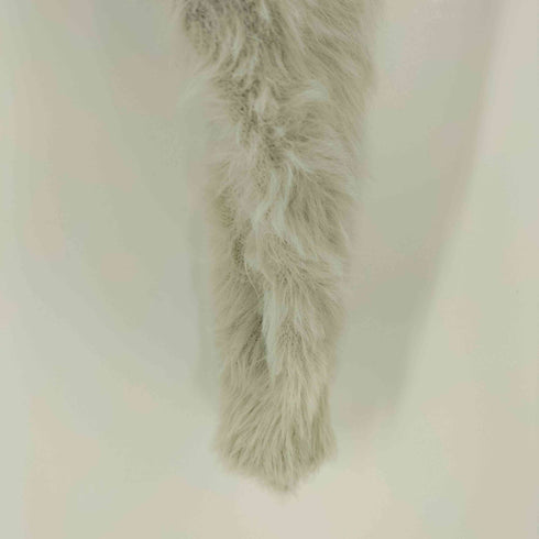 シャギークロップドトップス レディース ONE SIZE