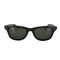 レイバン Ray-Ban ORIGINAL WAYFARER メンズ 50□22