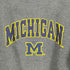 MICHIGAN フロントプリントVガゼットスウェット メンズ
