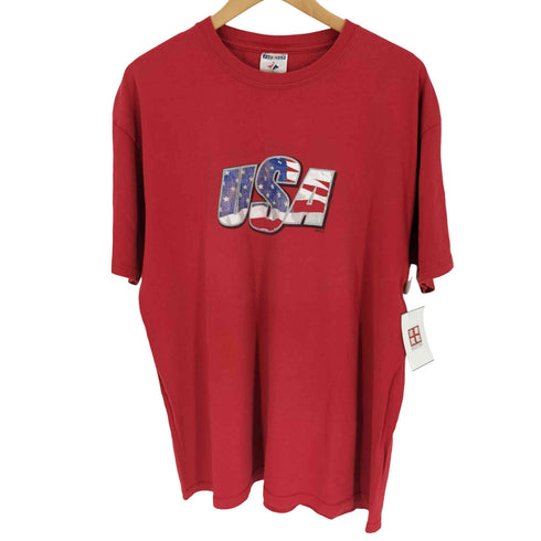 00S JERZEES ボディ USA 星条旗柄 クラック プリント S/S Tシャツ メンズ import:XL