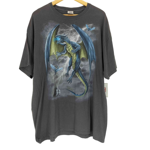 フルーツオブザルーム FRUIT OF THE LOOM フロントドラゴンプリントクルーネックTシャツ メンズ 2XL