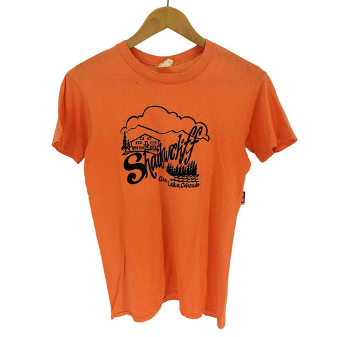 アンビル Anvil 70-80S CHED タグ USA製 Shadow Cliff Grand Lake Colorado プリント S/S Tシャツ シングルステッチ メンズ import:M
