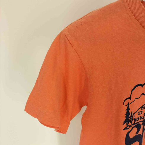 アンビル Anvil 70-80S CHED タグ USA製 Shadow Cliff Grand Lake Colorado プリント S/S Tシャツ シングルステッチ メンズ import:M