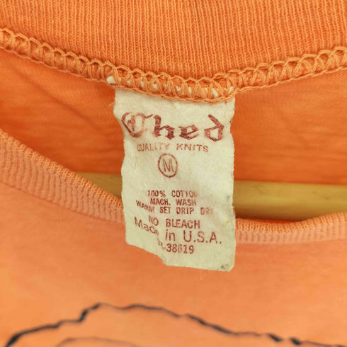 アンビル Anvil 70-80S CHED タグ USA製 Shadow Cliff Grand Lake Colorado プリント S/S Tシャツ シングルステッチ メンズ import:M