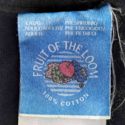フルーツオブザルーム FRUIT OF THE LOOM 90s USA製 JAZZ FROM THE FUTURE VIOLENT ONSEN GEISHA ノイズミュージック クルーネックTシャツ メンズ import:L