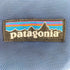 パタゴニア patagonia CRITICAL MASS メンズ
