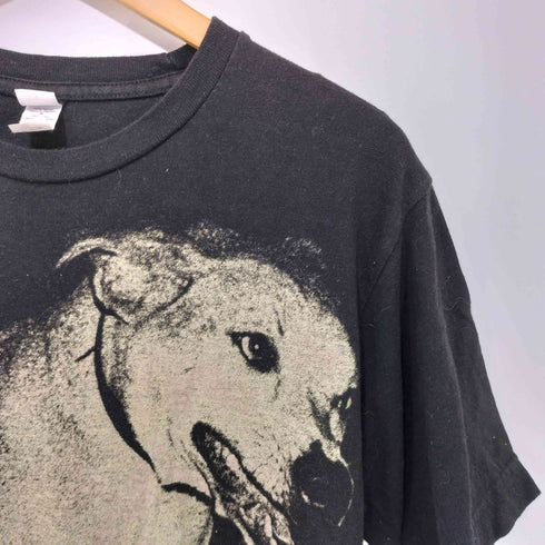 タルテックス TULTEX ©2009 RADITUDE アルバムジャケット バンドTシャツ メンズ import:M