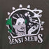 プリントTシャツ メンズ import:M